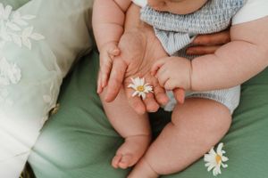 Close-up of hands holding delicate white daisies in a natural outdoor setting.