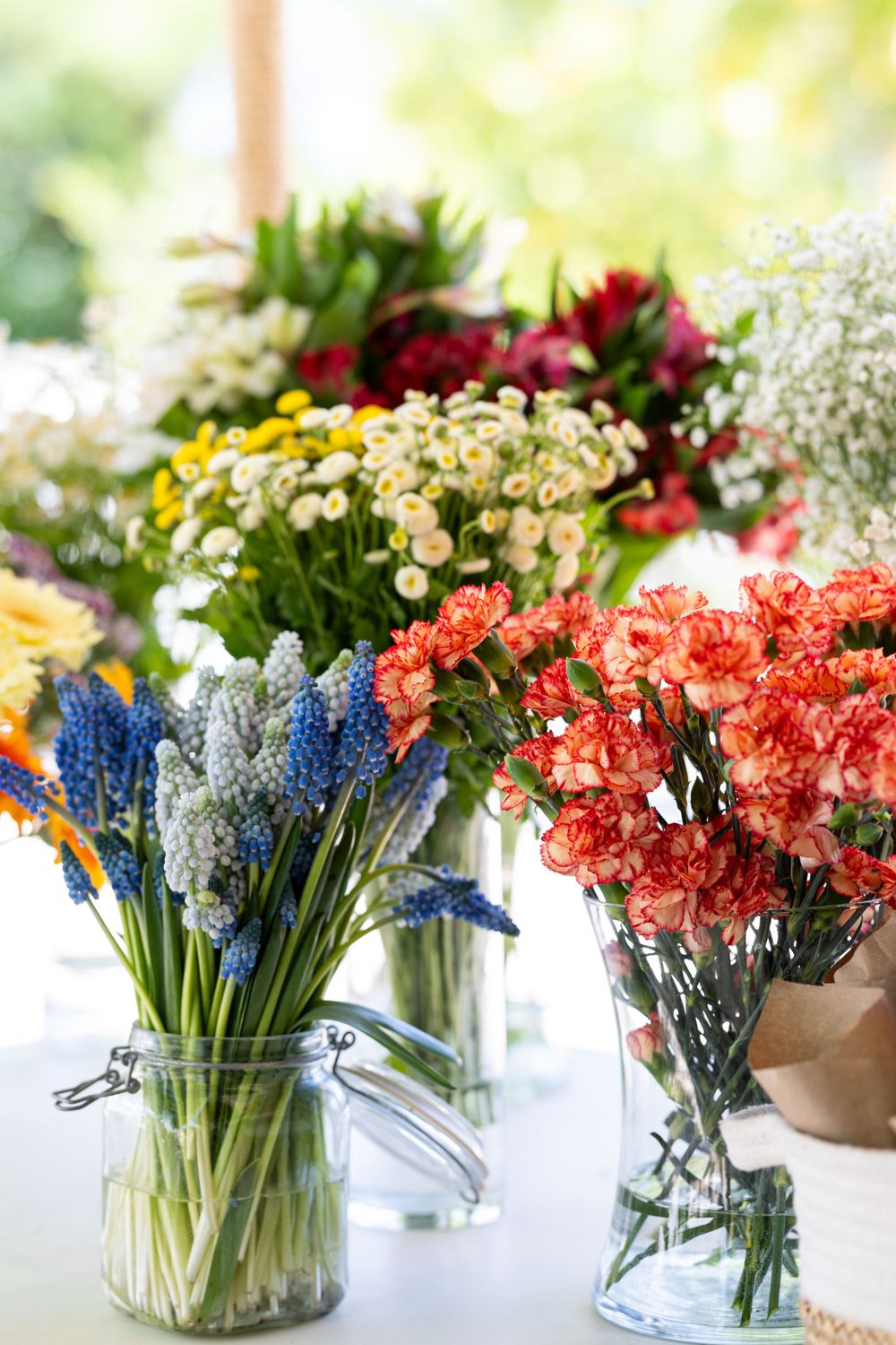 Colorful fresh flowers including blue grape hyacinths and coral carnations arranged in glass vases on a bright windowsill.
