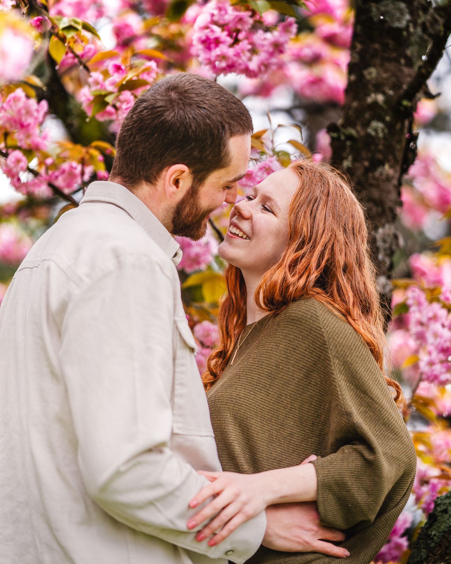 A romantic couple shares an intimate moment under blooming pink cherry blossoms in springtime.