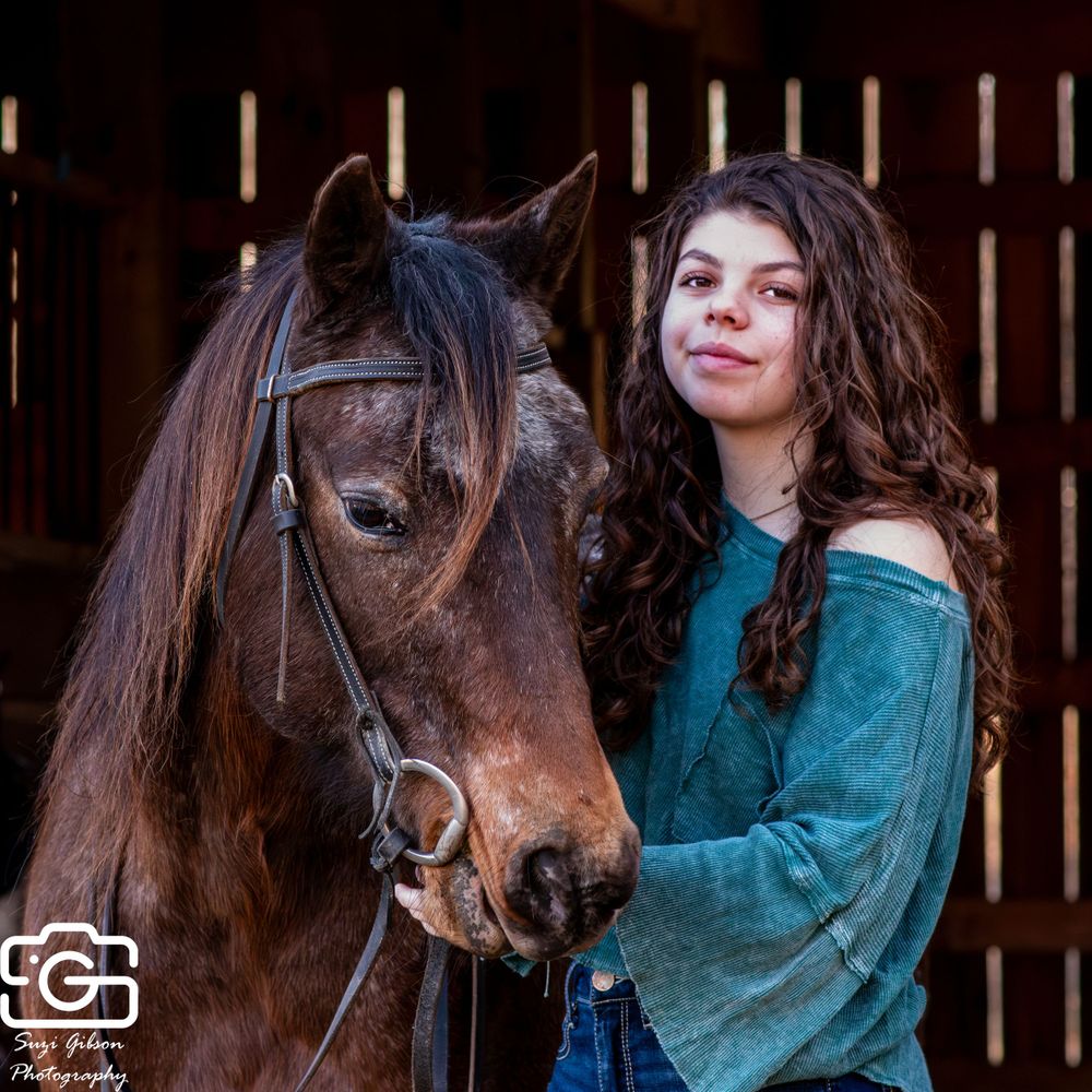 Horse and rider portrait game action photo coverage maryland dmv suzi gibson photography