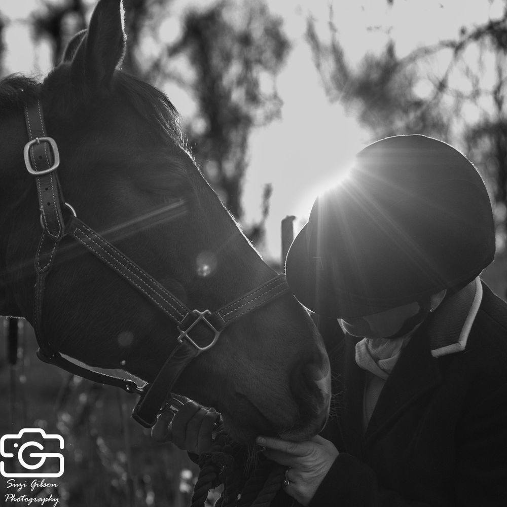 Rider giving horse a kiss game action photo coverage maryland dmv suzi gibson photography