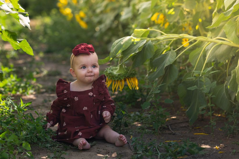 A small baby wearing a burgundy outfit sits among green foliage in a sunlit garden setting.