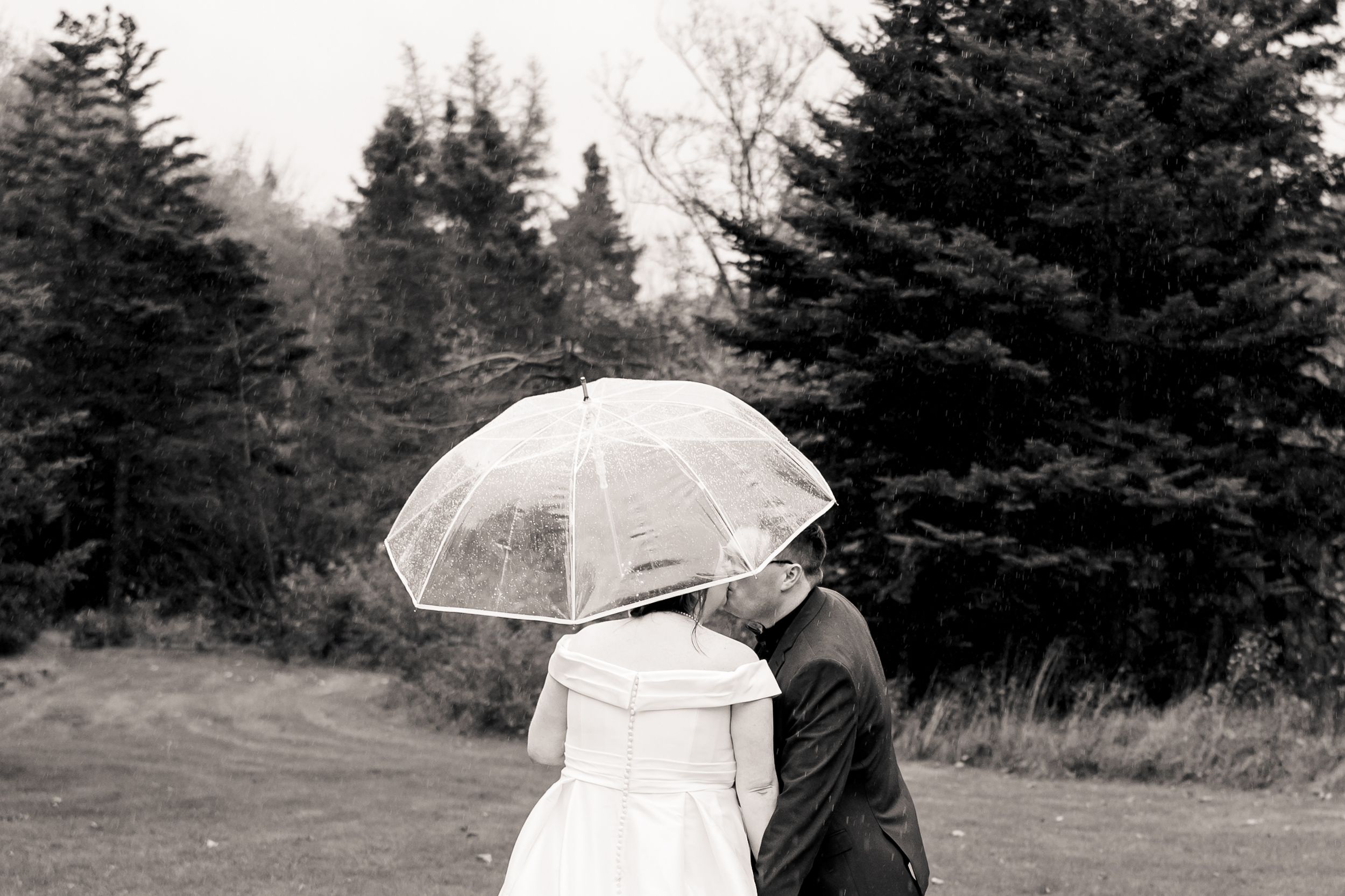 A couple shares a transparent umbrella on a rainy day while standing in front of evergreen trees.