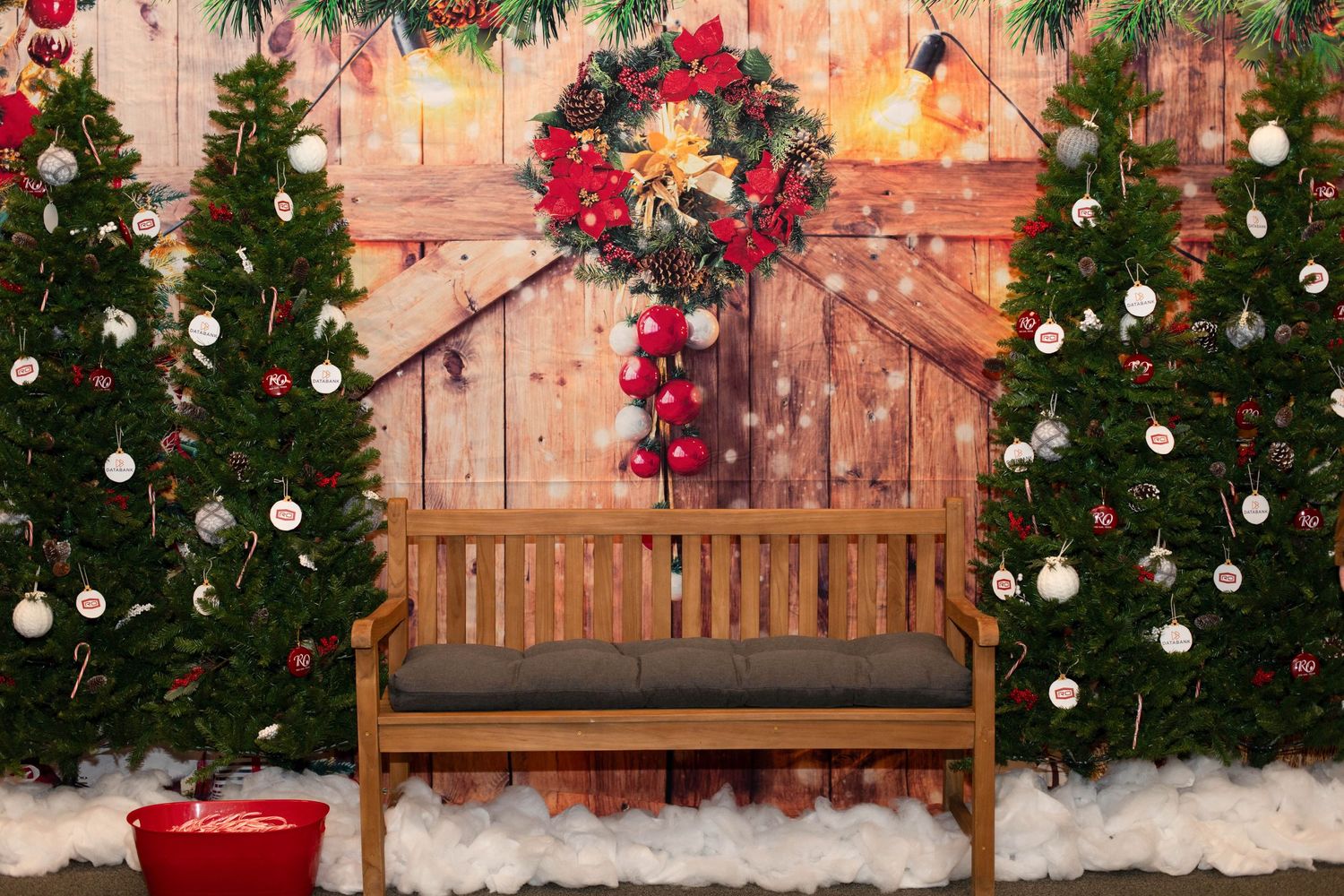 Holiday backdrop with Christmas trees.