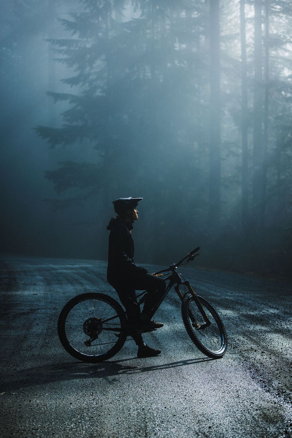 A cyclist in a helmet sits on a mountain bike on a misty forest road surrounded by tall fog-covered trees.