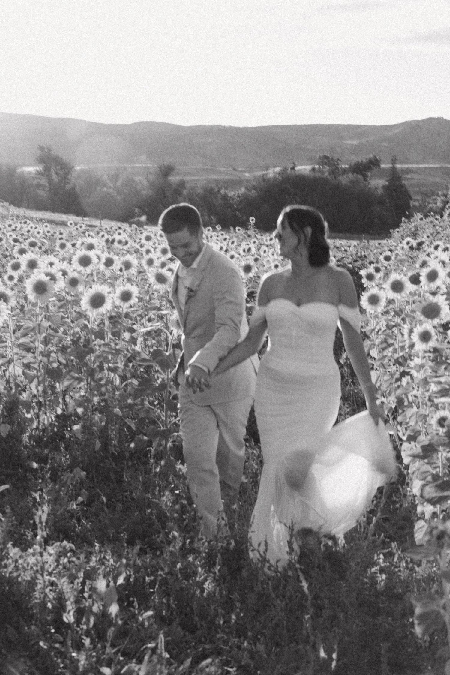 Black and white photo of bride and groom walking through sunflower field at sunset.