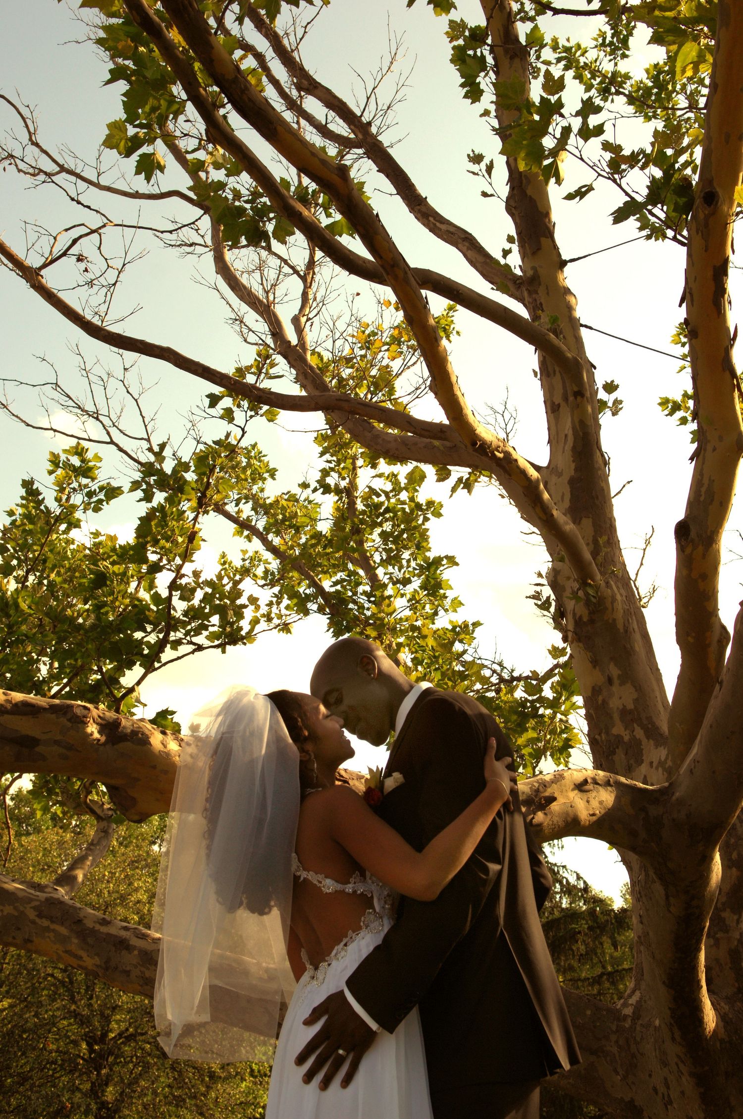 A romantic wedding couple embracing under a large tree during golden hour.