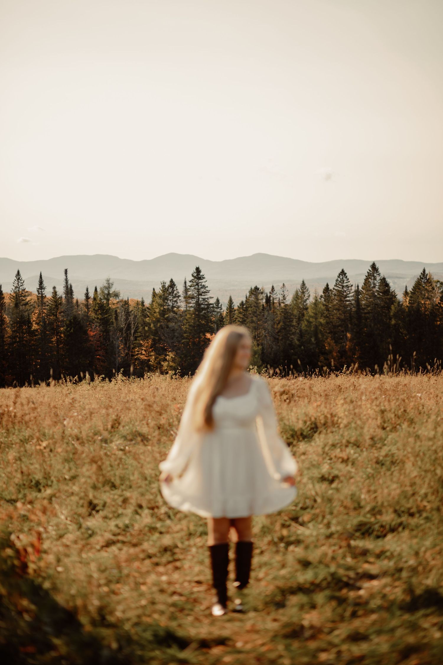 A scenic mountain landscape with a golden field and evergreen forest on an autumn afternoon.