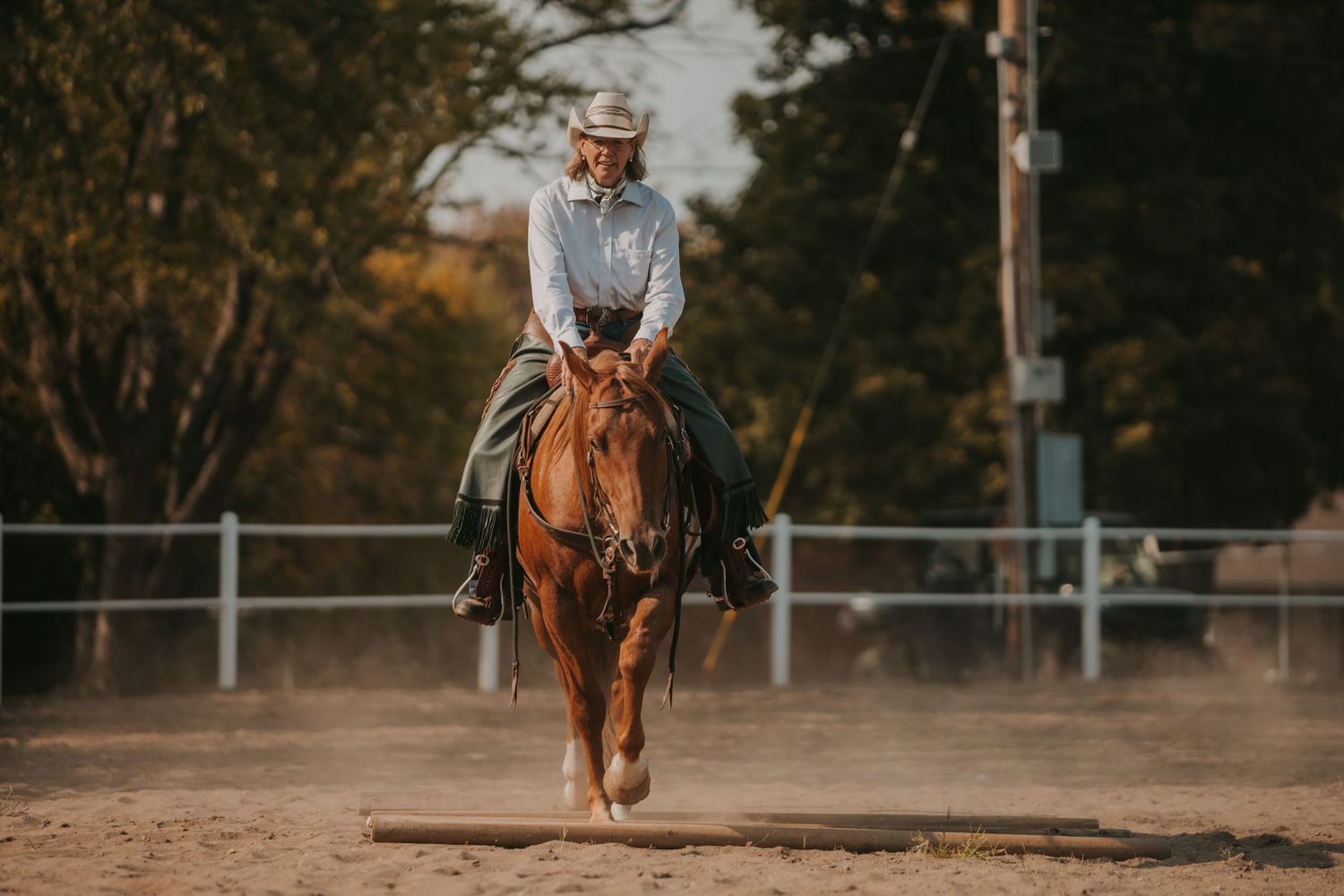 Equestrian riding a chestnut brown horse in a dusty arena during sunset.