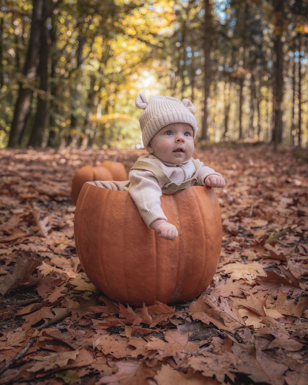 A baby sits nestled in a large orange pumpkin surrounded by fallen autumn leaves in a sunlit forest setting.