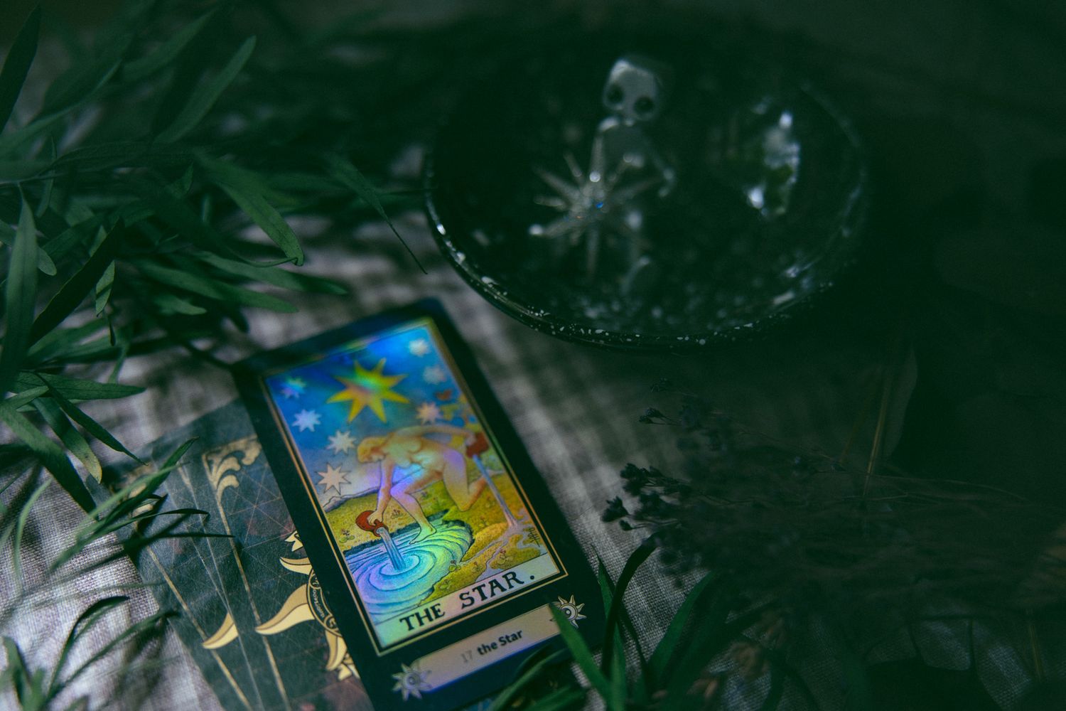 LGBTQ Asheville small business entrepreneur tarot cards display during a professional branding photography session