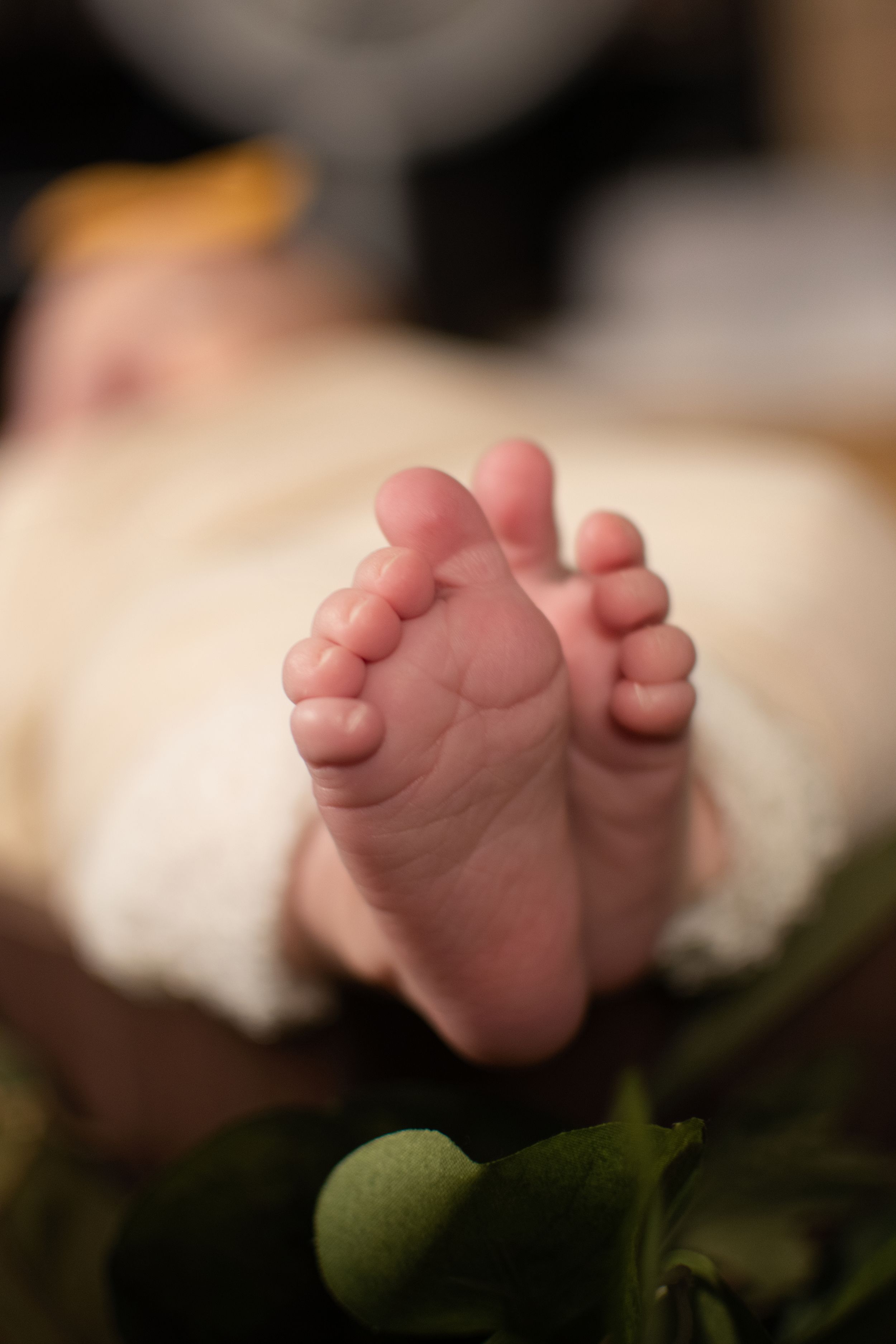 Close-up of tiny newborn feet against soft green foliage and wooden background.