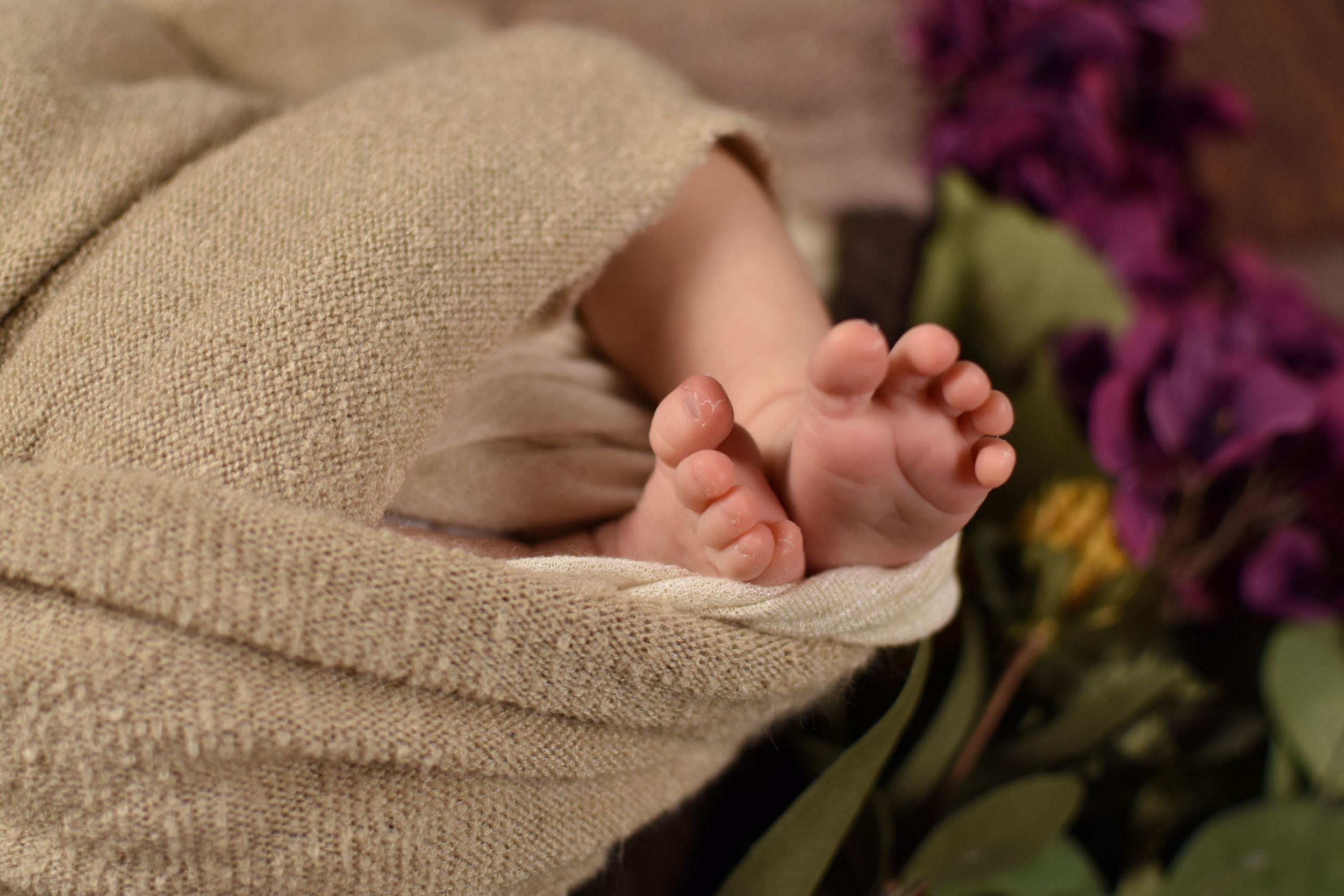 Close-up of tiny newborn feet peeking out from cream colored wrap with purple flowers nearby.