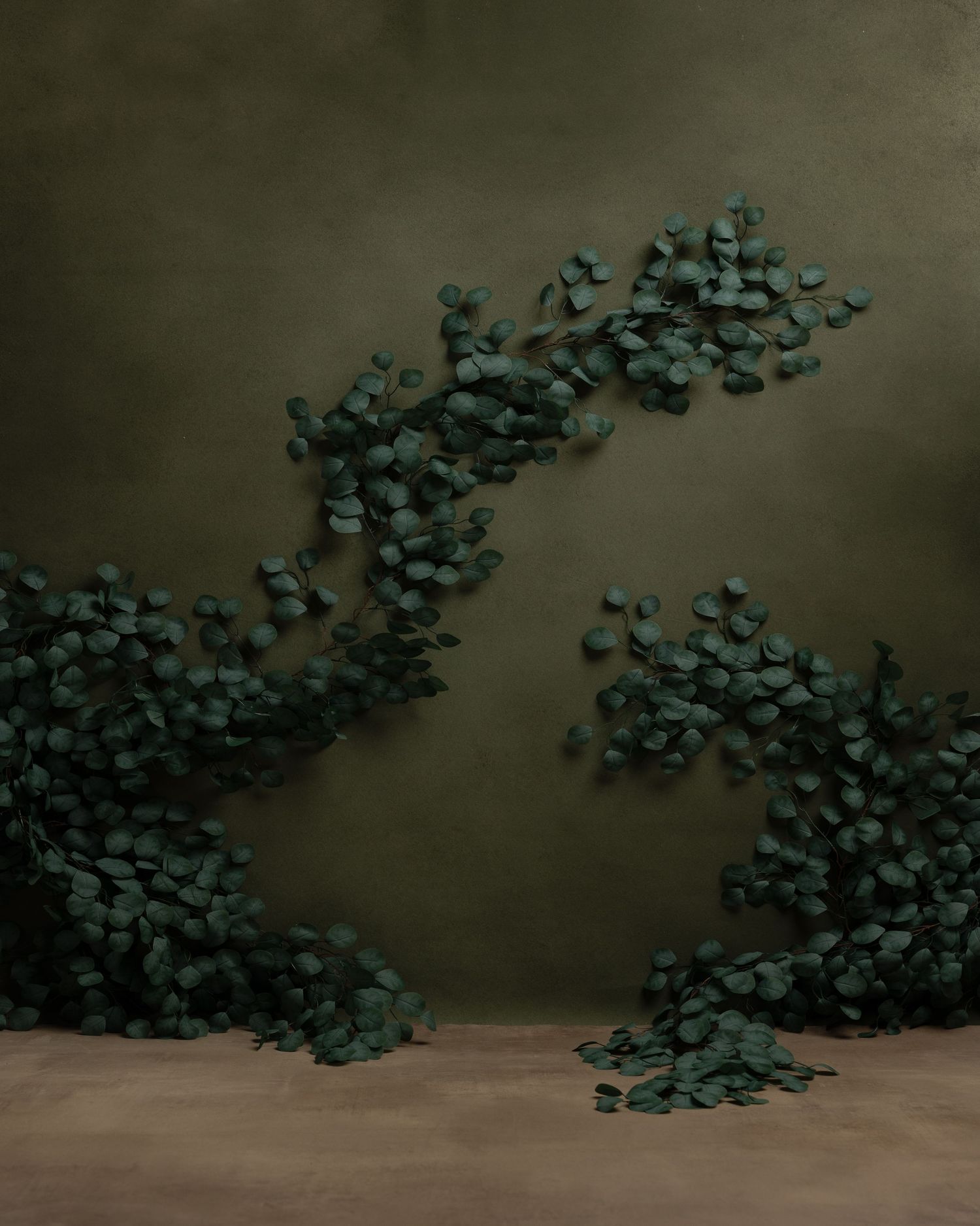 Delicate curved pattern of green eucalyptus leaves floating against a dark moody background in an artistic arrangement.