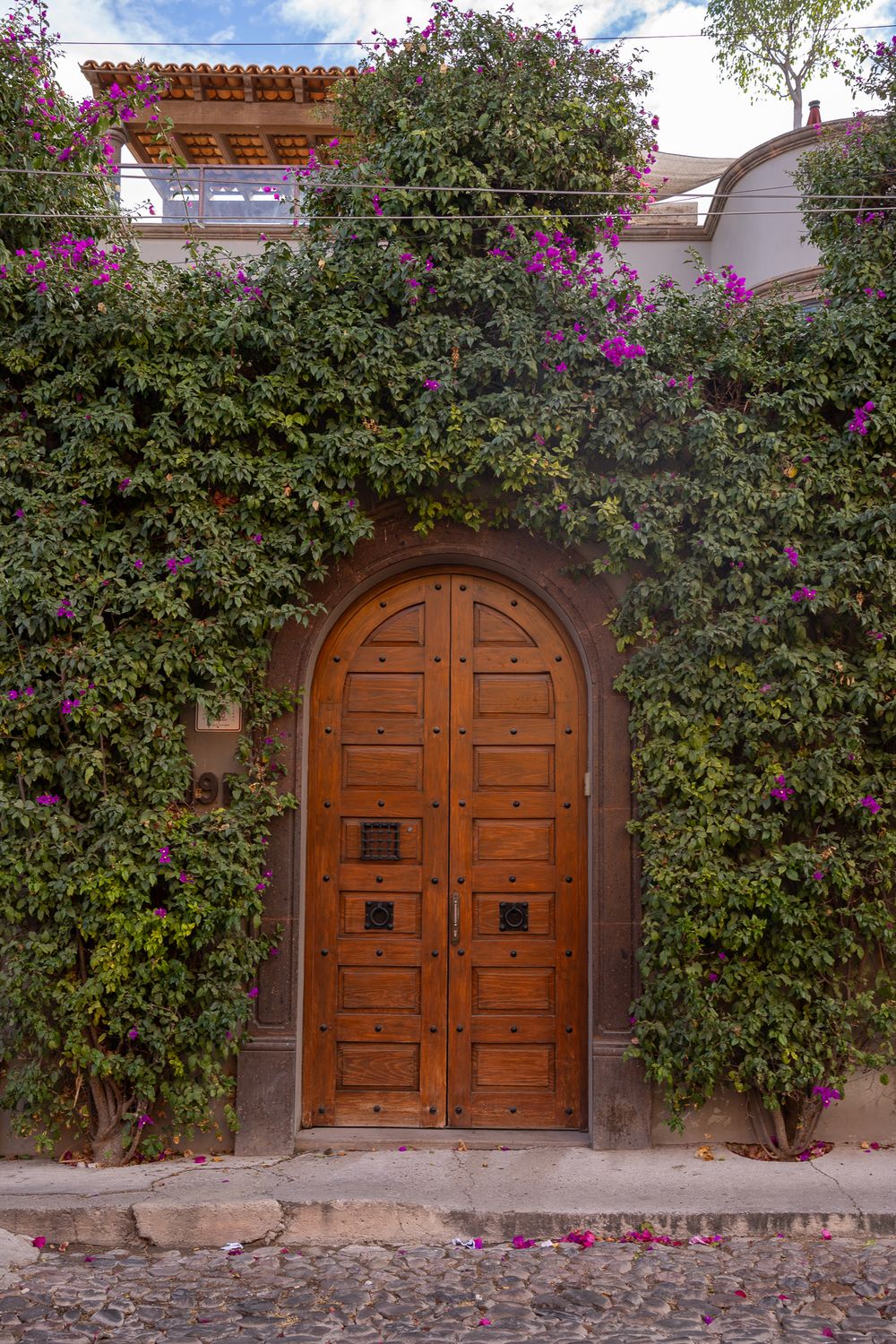 Beautiful arched wooden door surrounded by climbing vines with purple flowers against a white stucco wall.