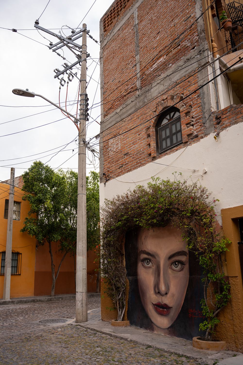 Urban alley with brick walls and utility poles showcasing street art murals painted on building facades.