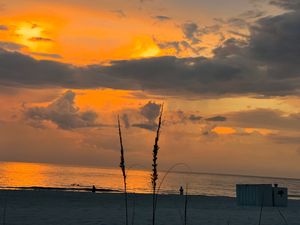 Stunning orange sunset over ocean with dramatic clouds and silhouetted coastal vegetation.