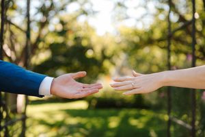 Two hands reaching towards each other against a sunlit forest background with bokeh effect.