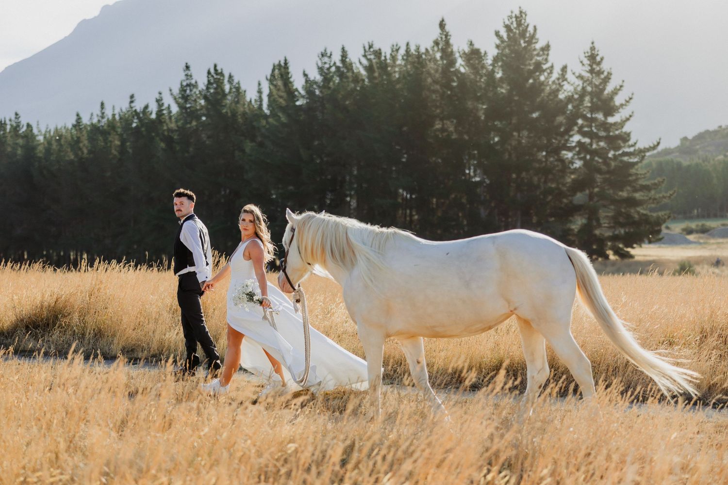 White horse walking through golden mountain meadow with pine trees in background.