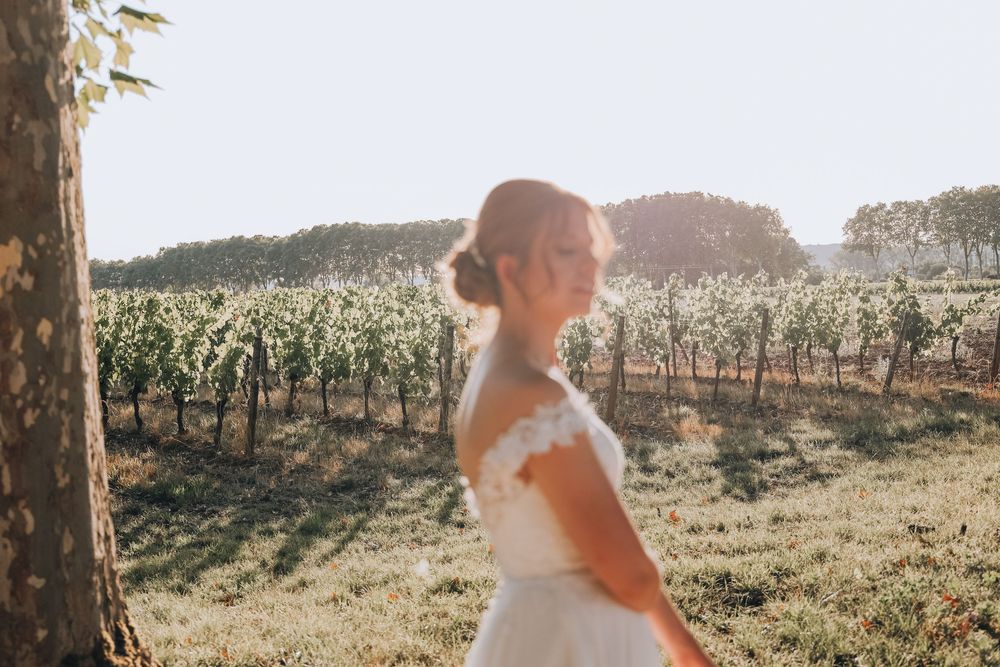 Elegant bride in lace gown walking through golden sunlit vineyard on wedding day.