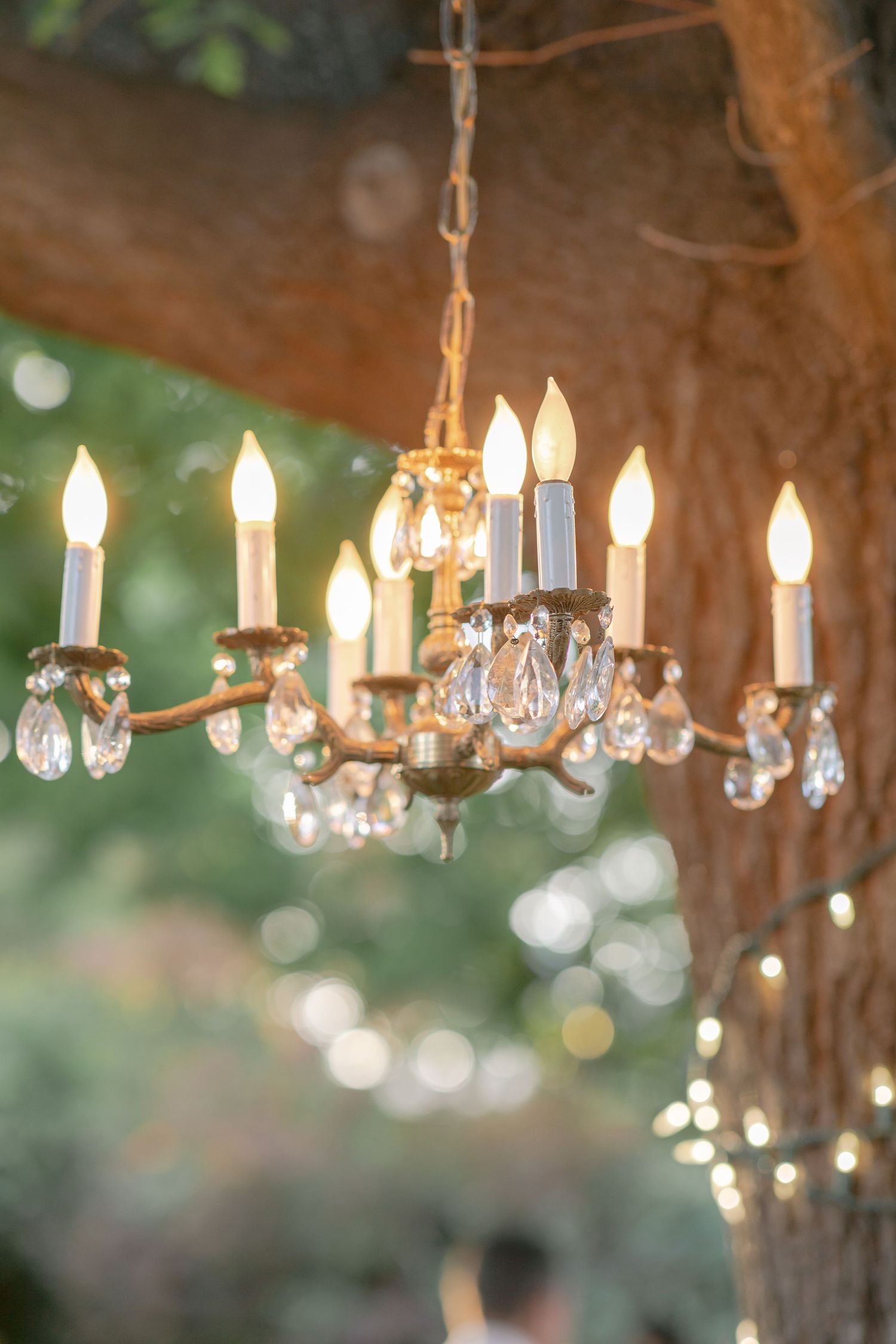 Chandelier at McHenry Mansion Wedding Venue captured by Chelsee Rawe Photography