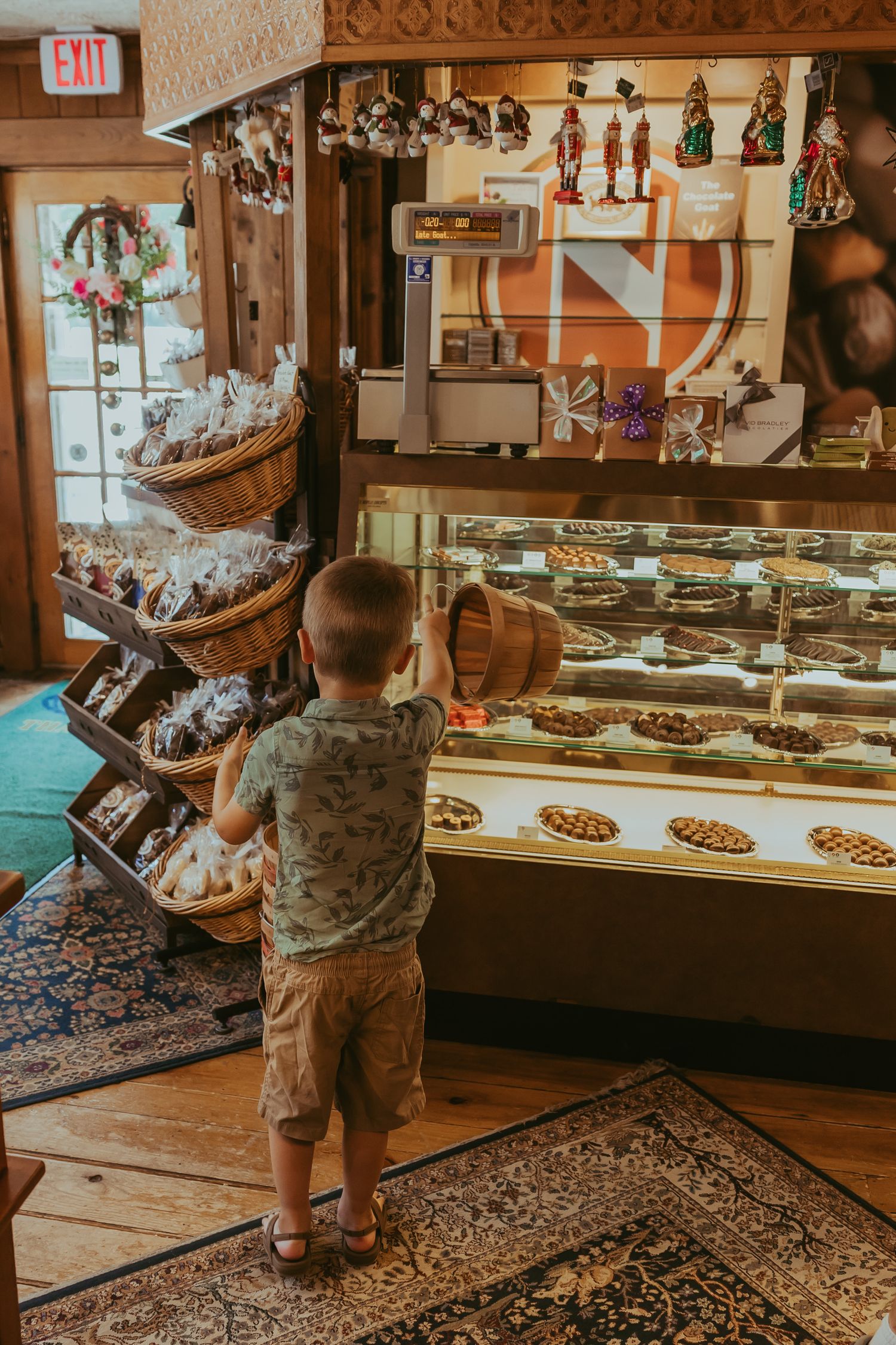 Small child gazes at display cases filled with treats and collectibles inside a charming old-fashioned candy shop.