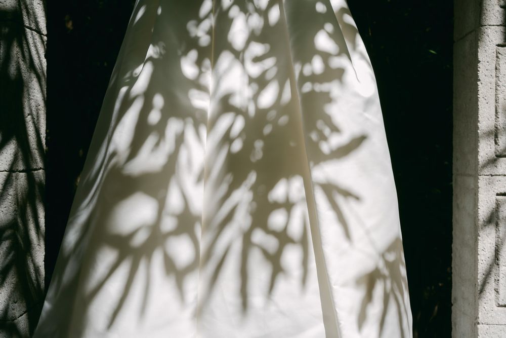 Tree shadows create intricate patterns on a white wall in natural lighting.