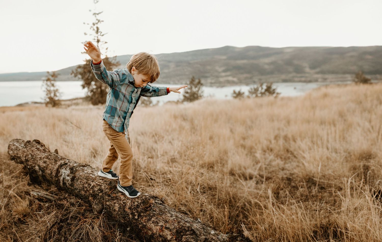 child having fun and exploring during a family photoshoot overlooking okanagan lake at Knox mountain in kelowna bc
