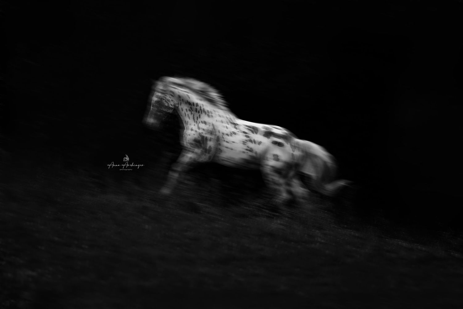 A black and white motion-blurred photograph of a running horse in darkness.