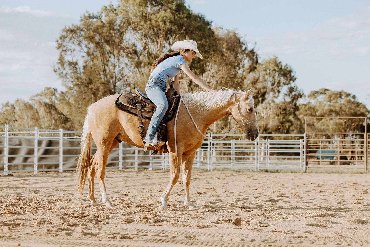 Rider practicing horseback riding techniques in an outdoor arena on a sunny day.