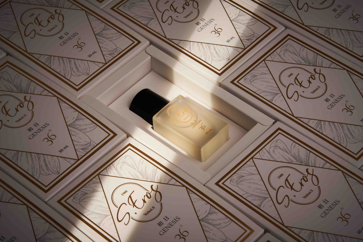 Decorative ornate white ceiling with intricate carved floral patterns and geometric designs in light and shadow contrasts.