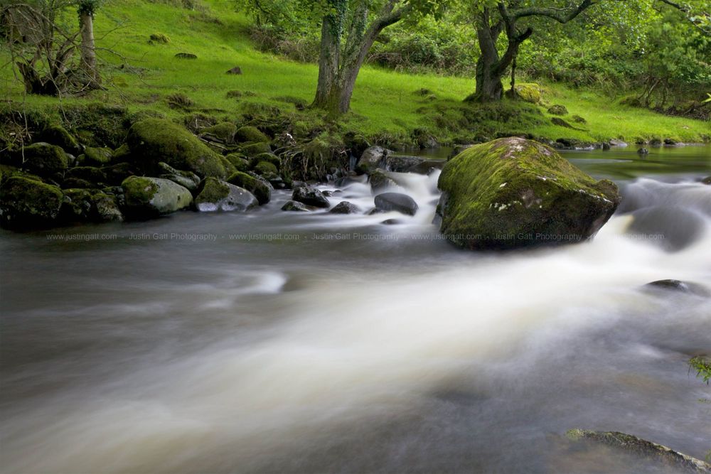 Long exposure of flowing water over mossy rocks in a lush green forest stream.