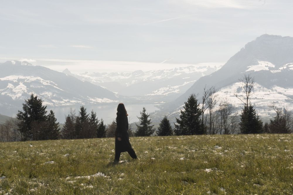 Person walking through alpine meadow with snow-capped mountains and evergreen trees in misty background.