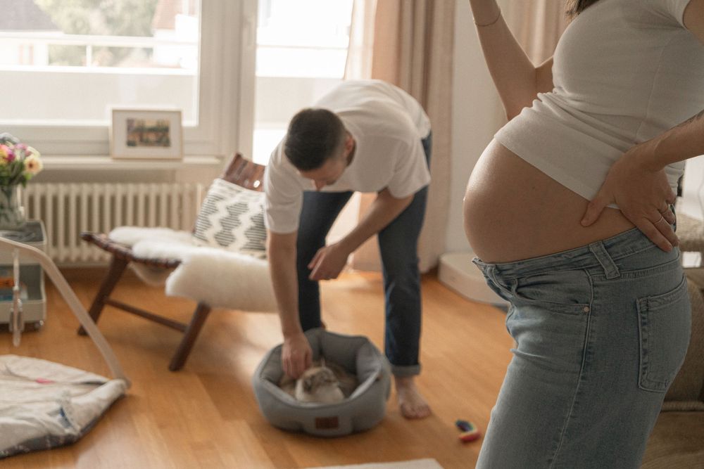 Pregnant woman stands near man petting cat in cozy living room, preparing home for new baby arrival.
