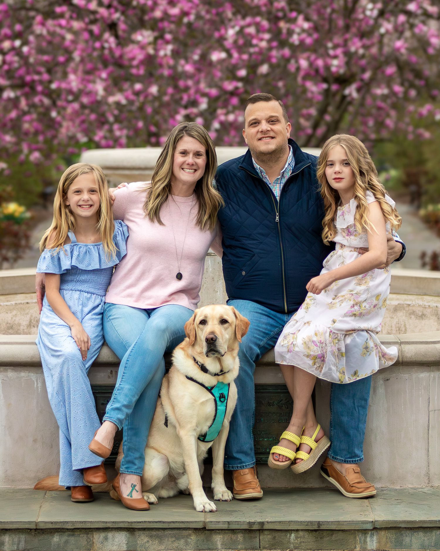 A family sits together on stone steps with their yellow Labrador retriever during a spring photo session with pink blossoms.