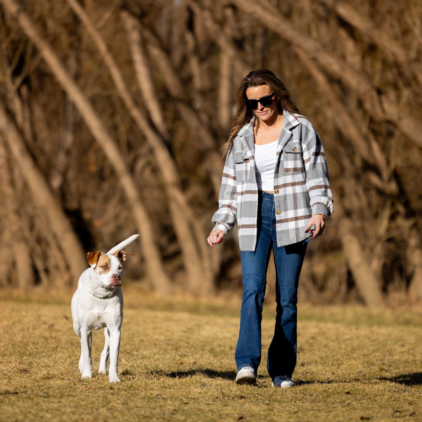 A person in jeans and plaid shirt walking a small white dog on a grassy hillside in autumn.