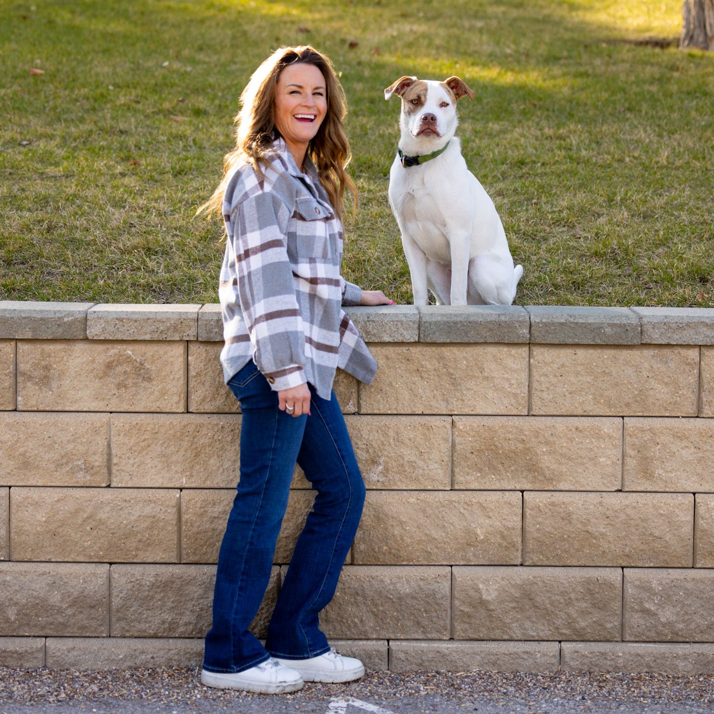 Person in plaid shirt and jeans sits on retaining wall with white and brown dog in outdoor setting.