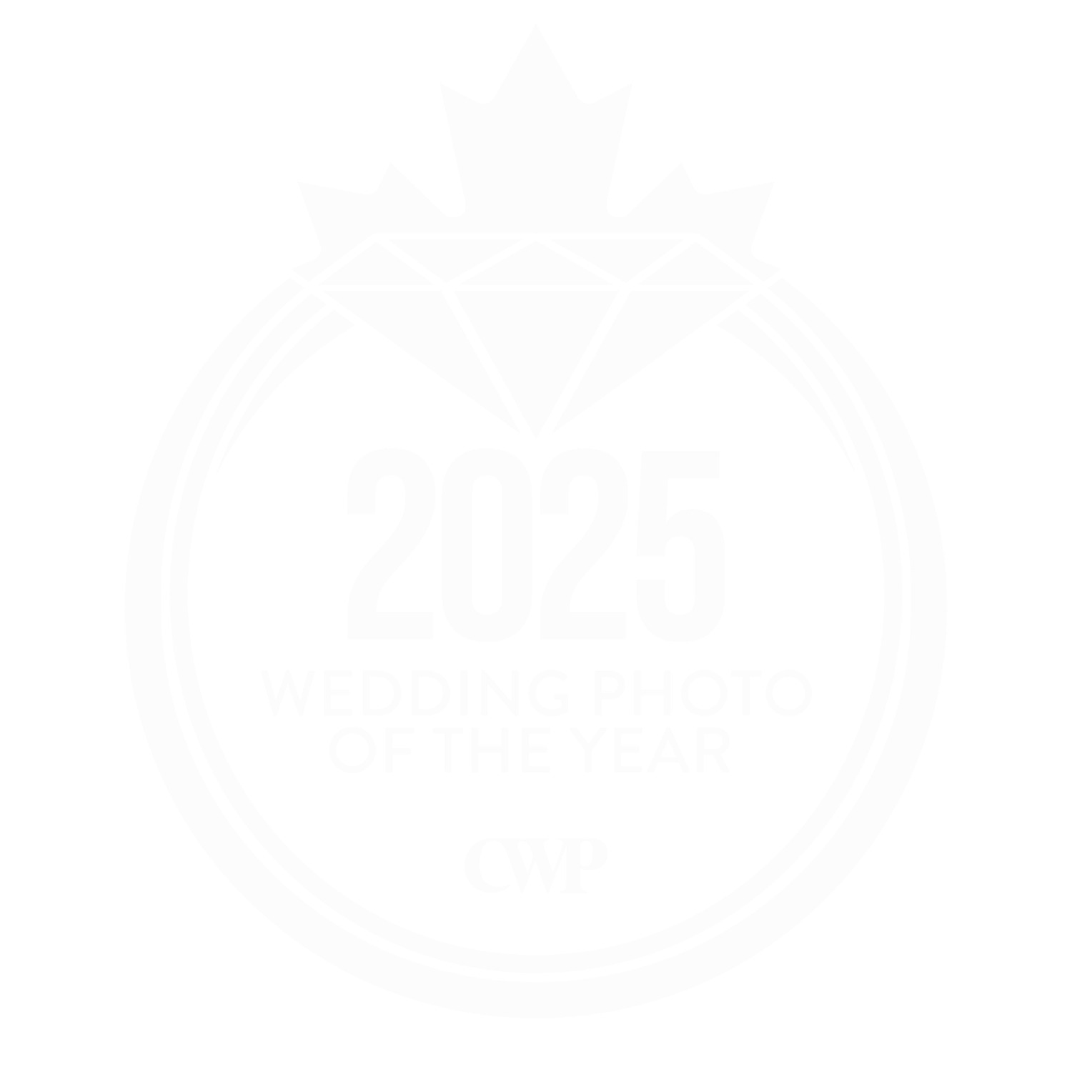 Wedding Photographer award 2025