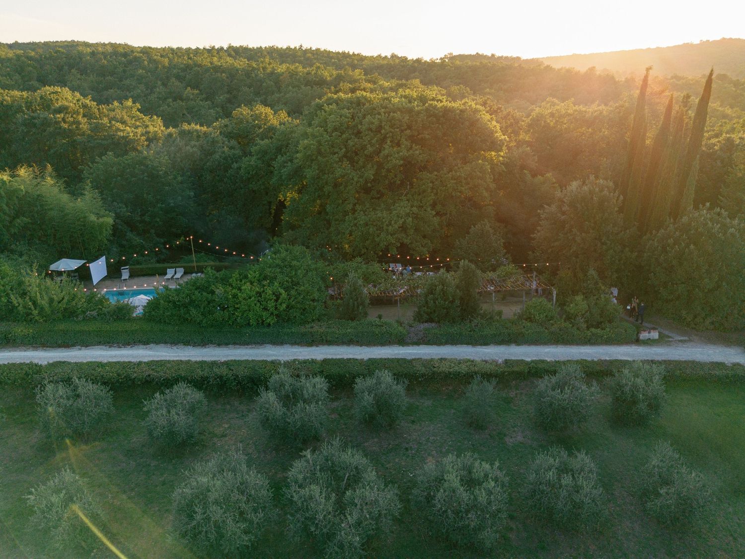 Scenic panoramic view of a rural landscape at sunset with golden light filtering through trees and rolling hills.