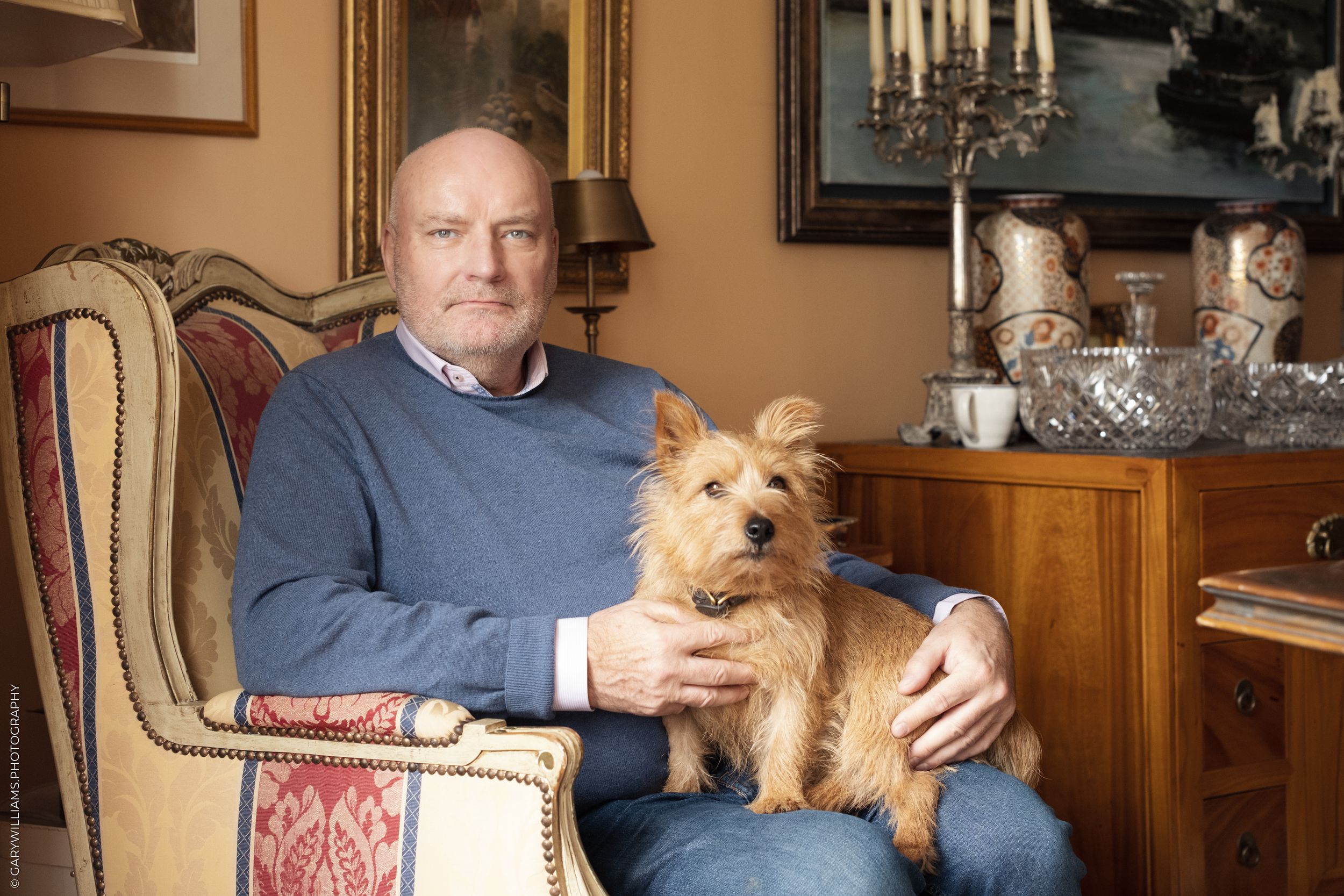 A small brown terrier dog sits comfortably on a couch next to someone in a blue sweater in a cozy living room setting.