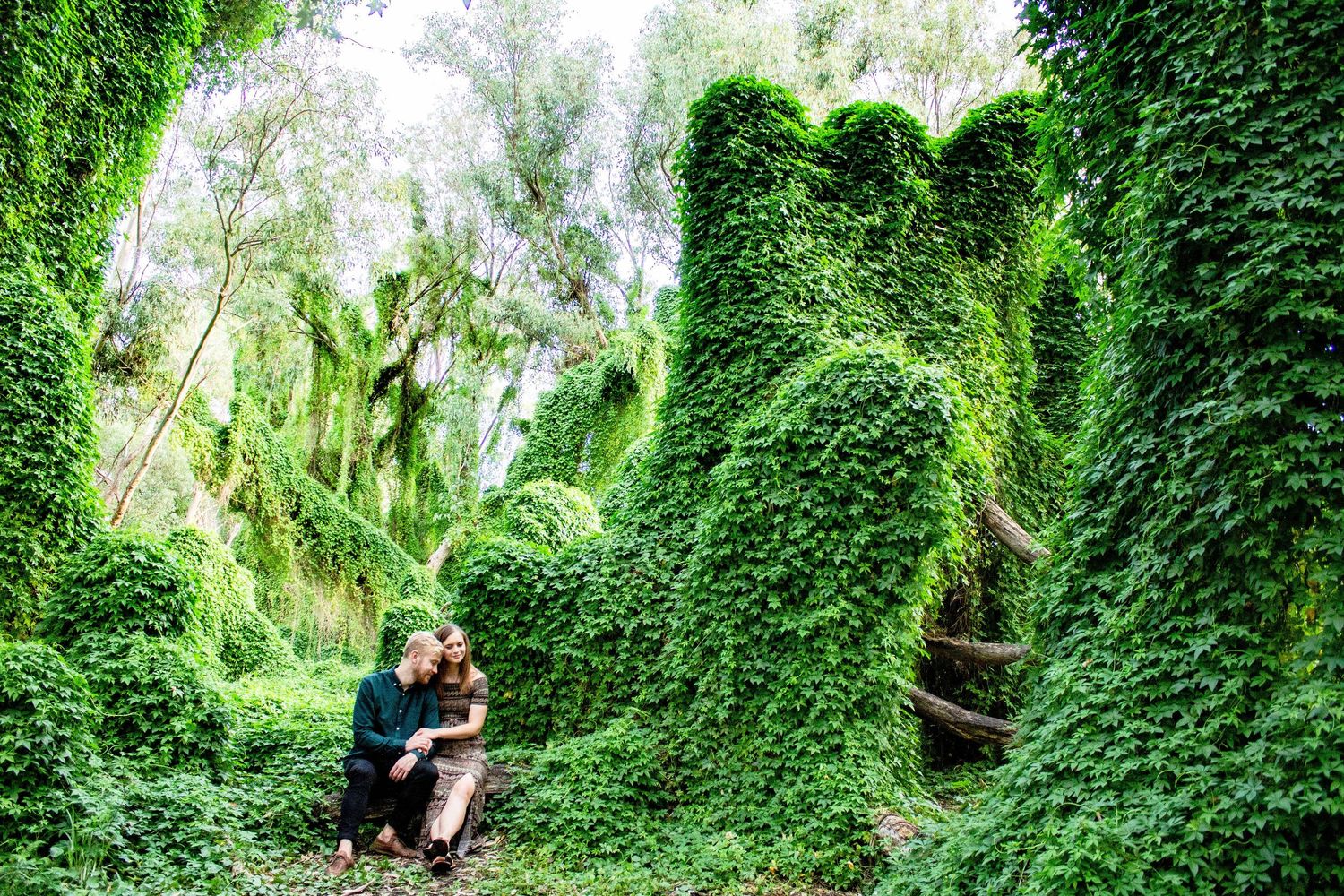 A figure sits in a lush green forest setting surrounded by thick ivy-covered walls and trees.