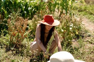 Person in red sun hat harvesting crops in a sunny garden field.