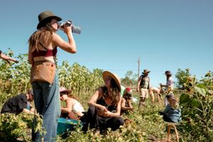People in sun hats gathering in a garden with sunflowers and vegetation on a bright day.