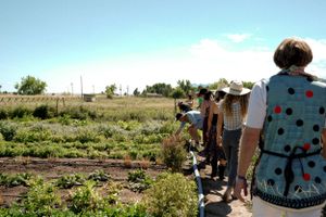 Line of visitors touring an organic farm on a bright summer day.