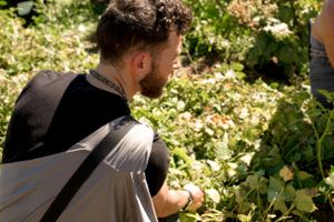 A person wearing a black shirt examines plants while crouching in a lush garden setting.