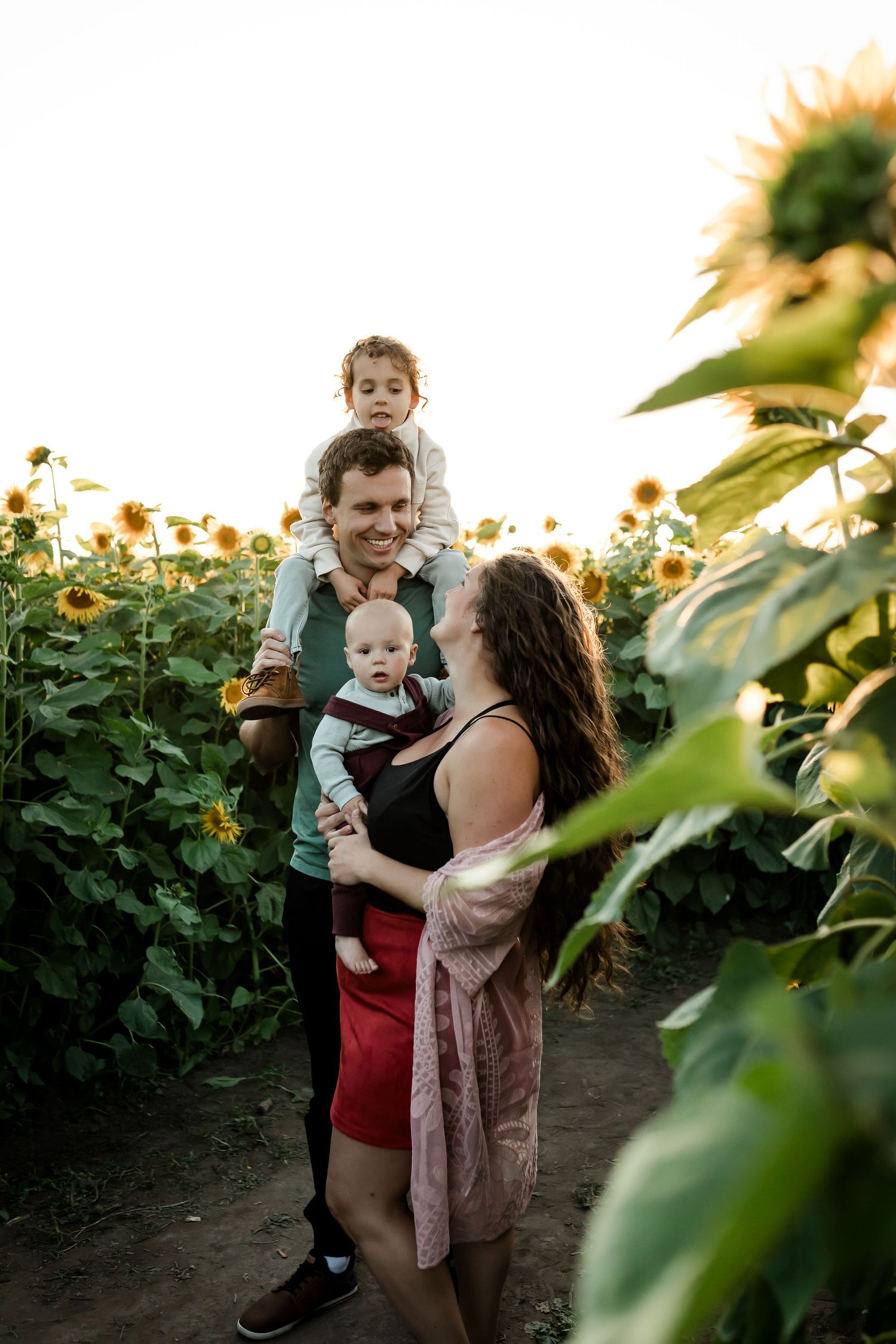 Family photos at sunflower fields in Bowden Alberta by Calgary lifestyle photographer.