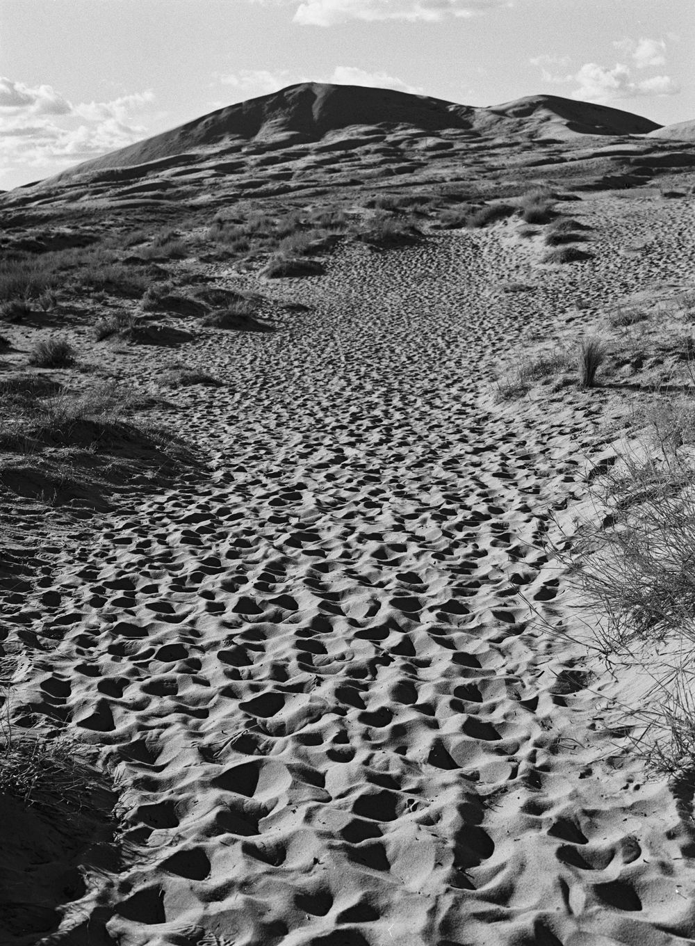 Abstract patterns of rippling sand dunes creating natural textures in black and white photography.