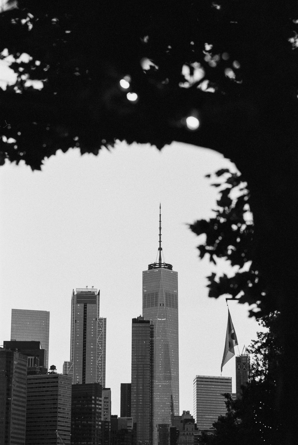 Manhattan skyline silhouetted against bright sky with tree branches framing the top.