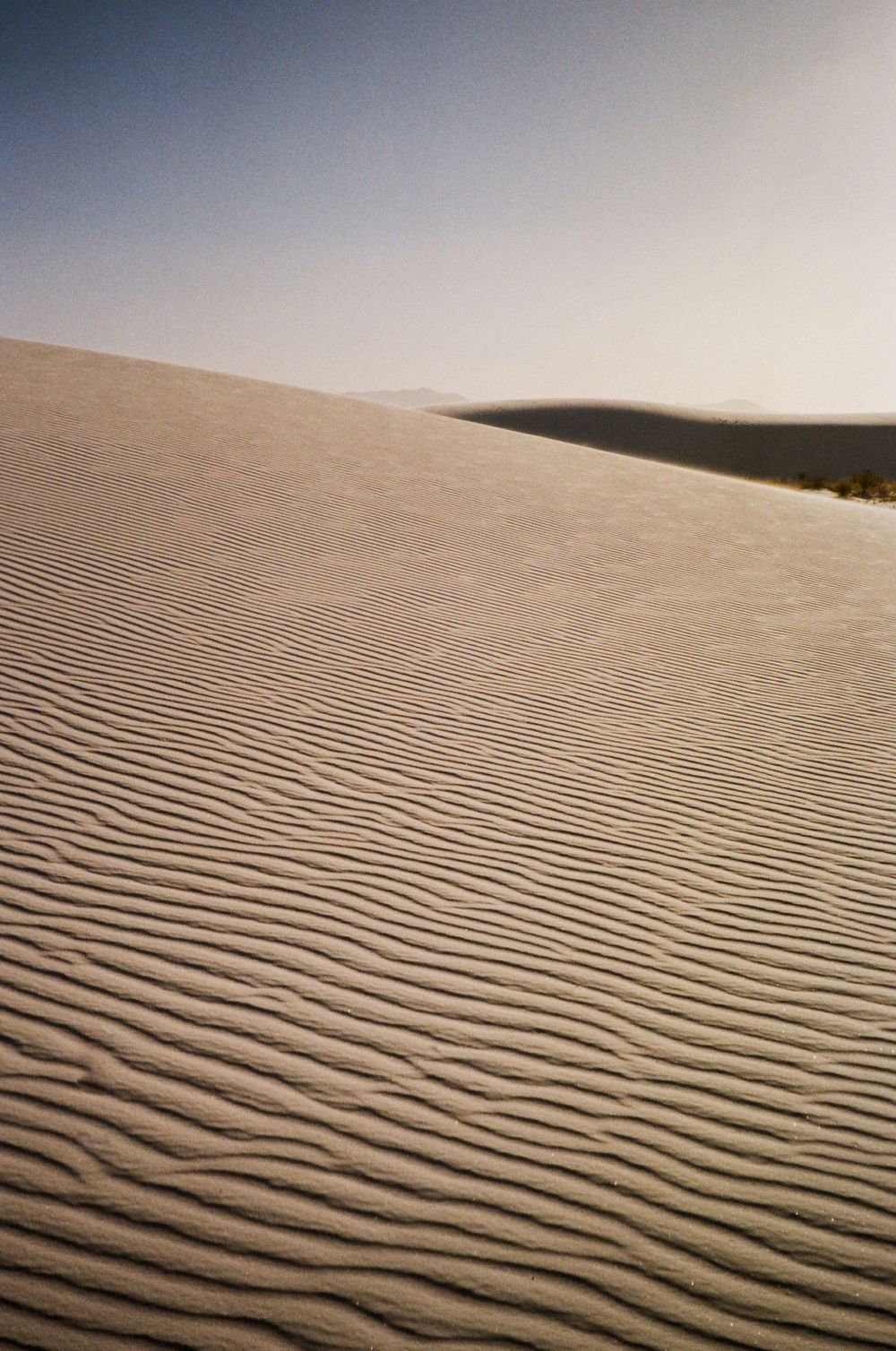 Rippling sand dunes create mesmerizing patterns in the desert landscape at sunset.