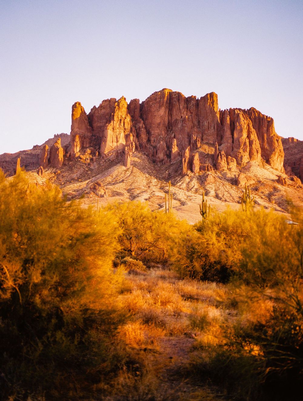 Rugged desert mountain range illuminated by warm sunset light with saguaro cacti.